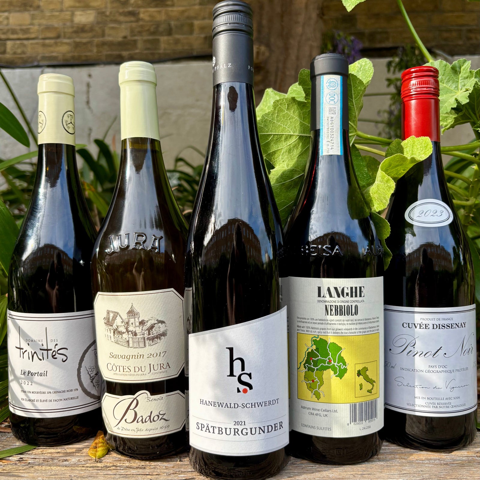 Magic of Mushrooms: Perfect Wine Pairings for Autumn