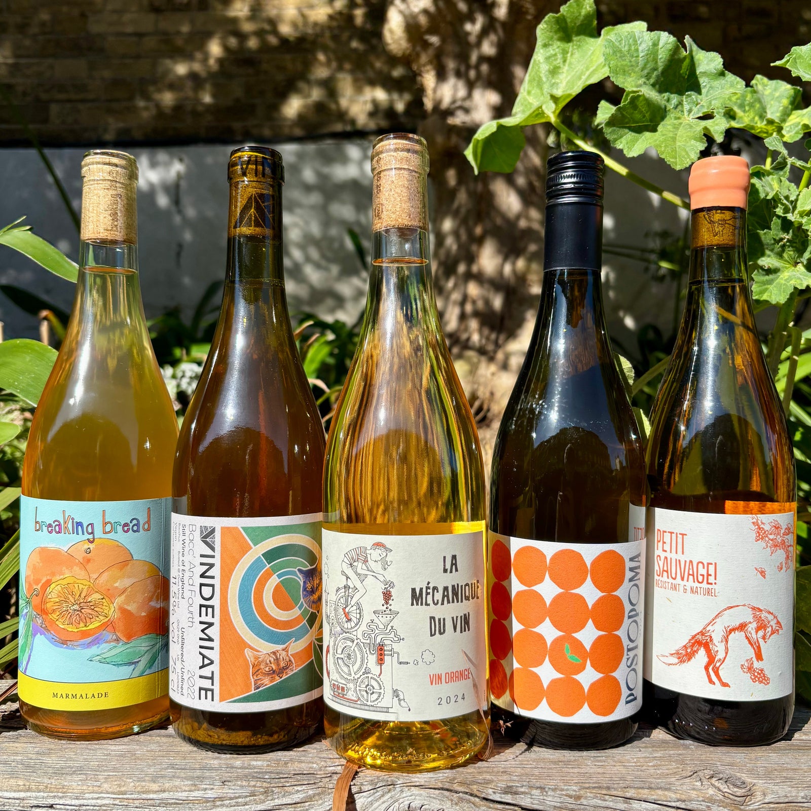 Orange Wines for Autumn