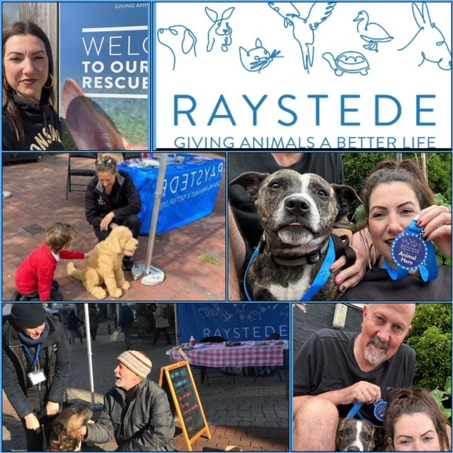Charity Wine tasting for Raystede Centre for Animal Welfare - Thursday 21st March 2024 - Butler&#39;s Wine Cellar Brighton