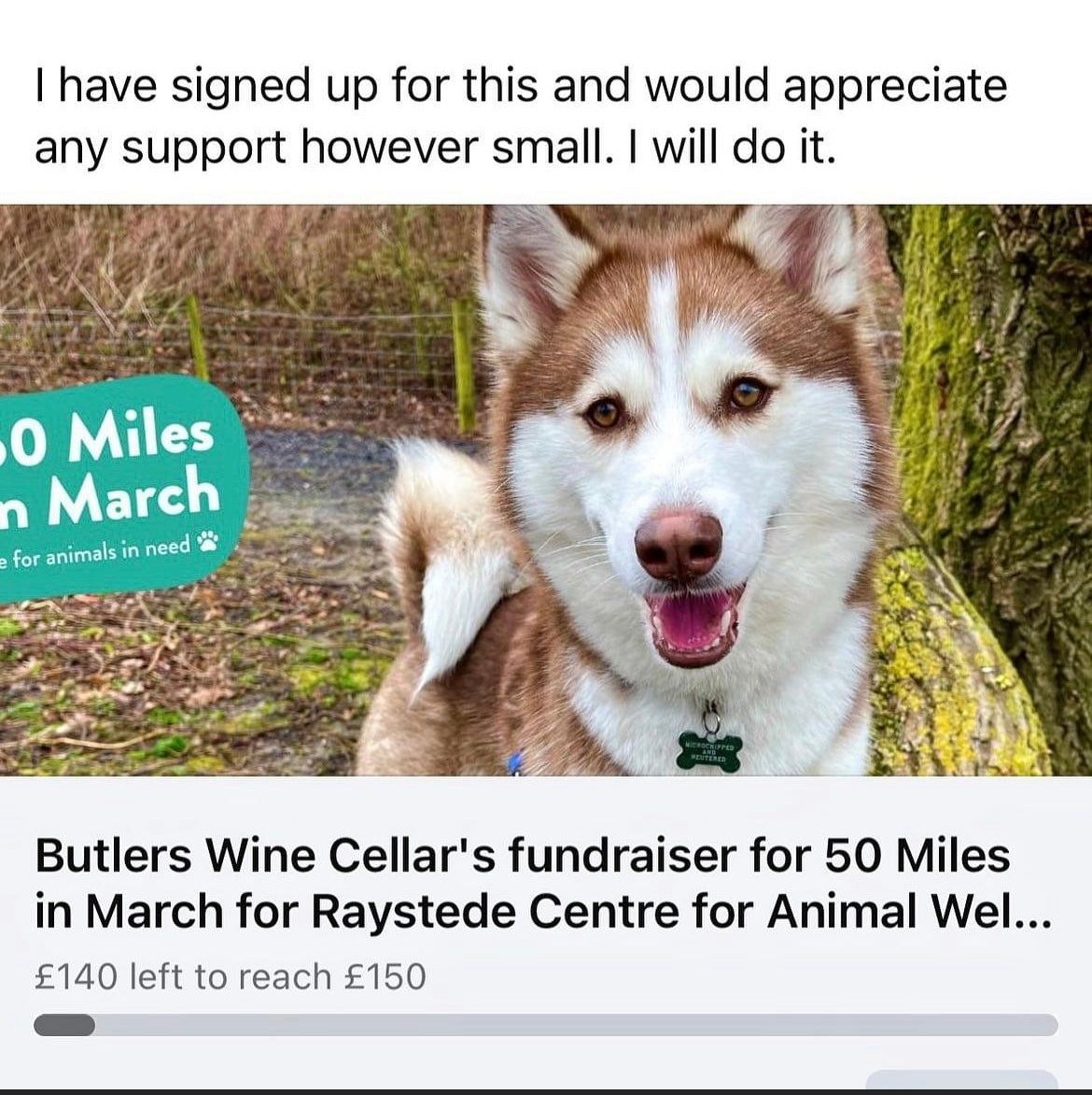 50 miles in March for Raystede Centre for animal welfare