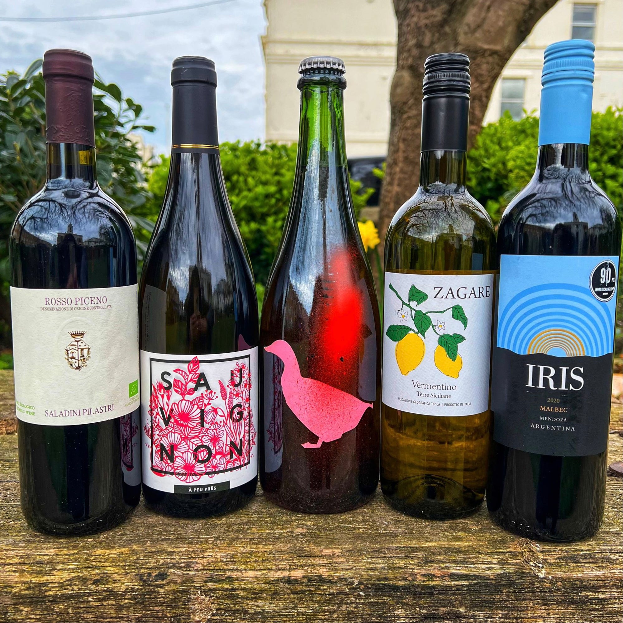 SPRING TIME WINES