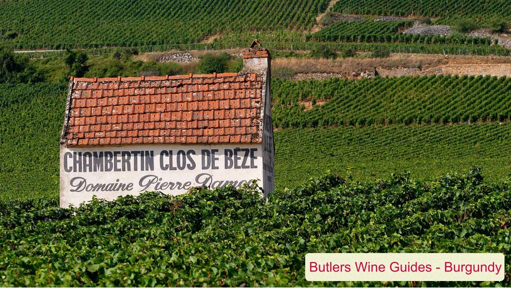 Learn about the red and white wines of Burgundy in our essential Butler's Wine Guide