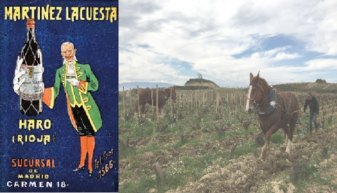 Rioja - Tradition and Innovation