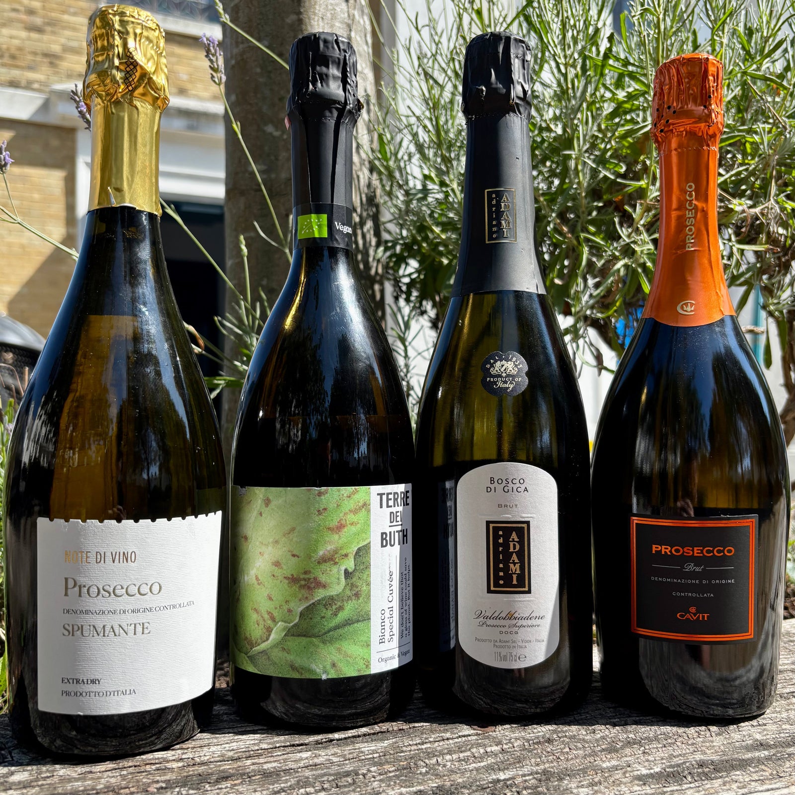 National Prosecco Day August 13th!