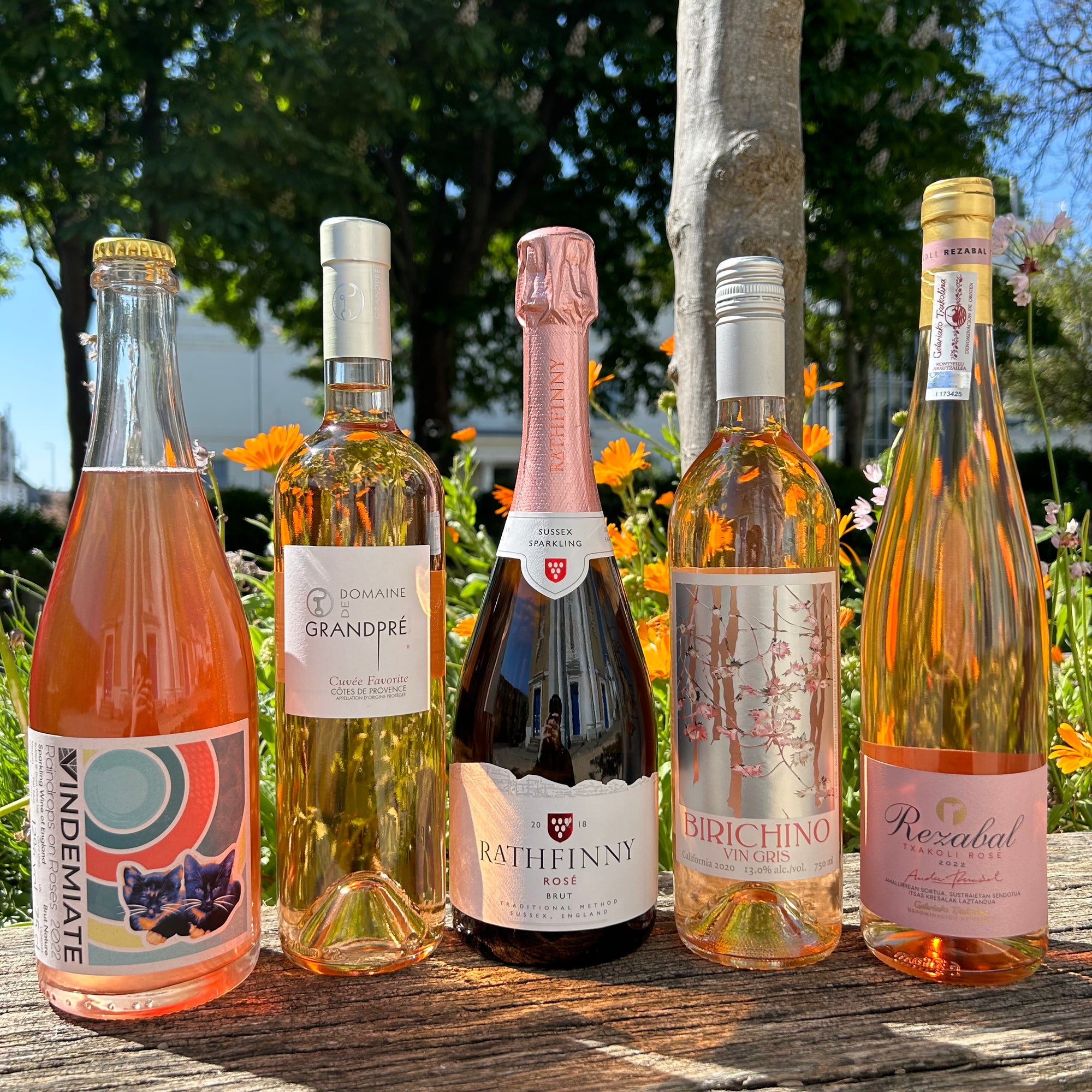 Rosé: The Best of Both Worlds