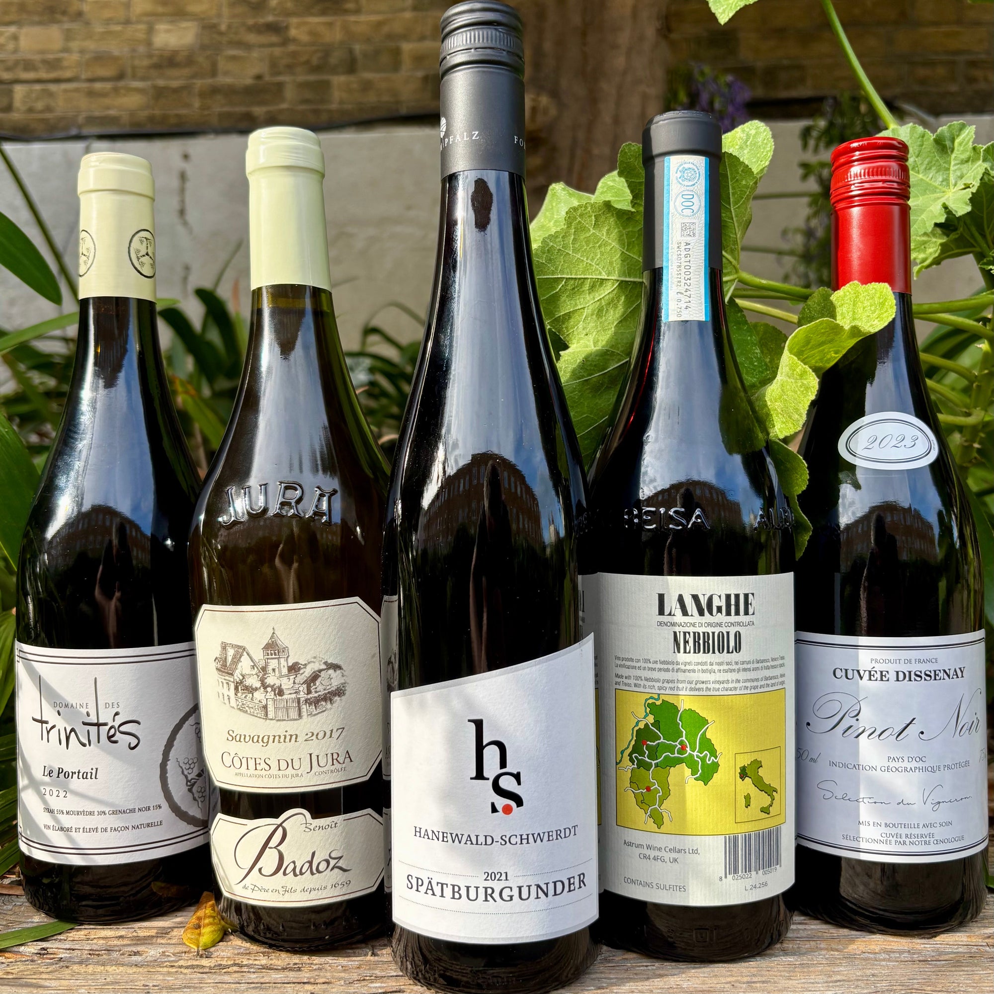 Magic of Mushrooms: Perfect Wine Pairings for Autumn