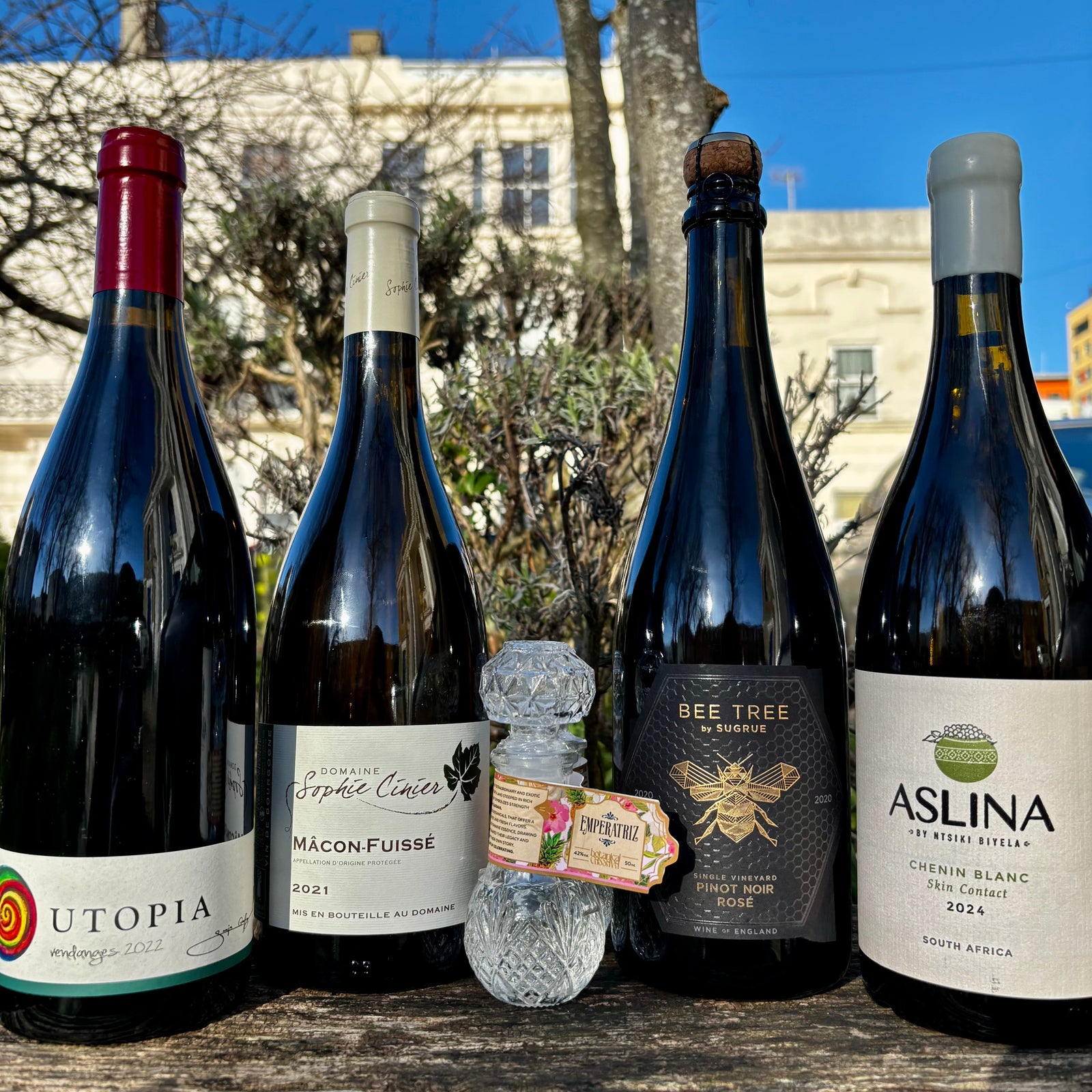 International Women's Day