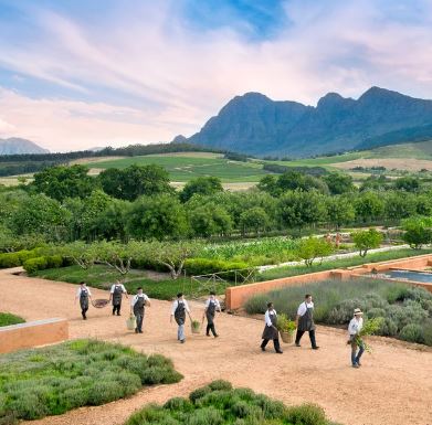 Our friend Kanthi is in the New York Times!!!