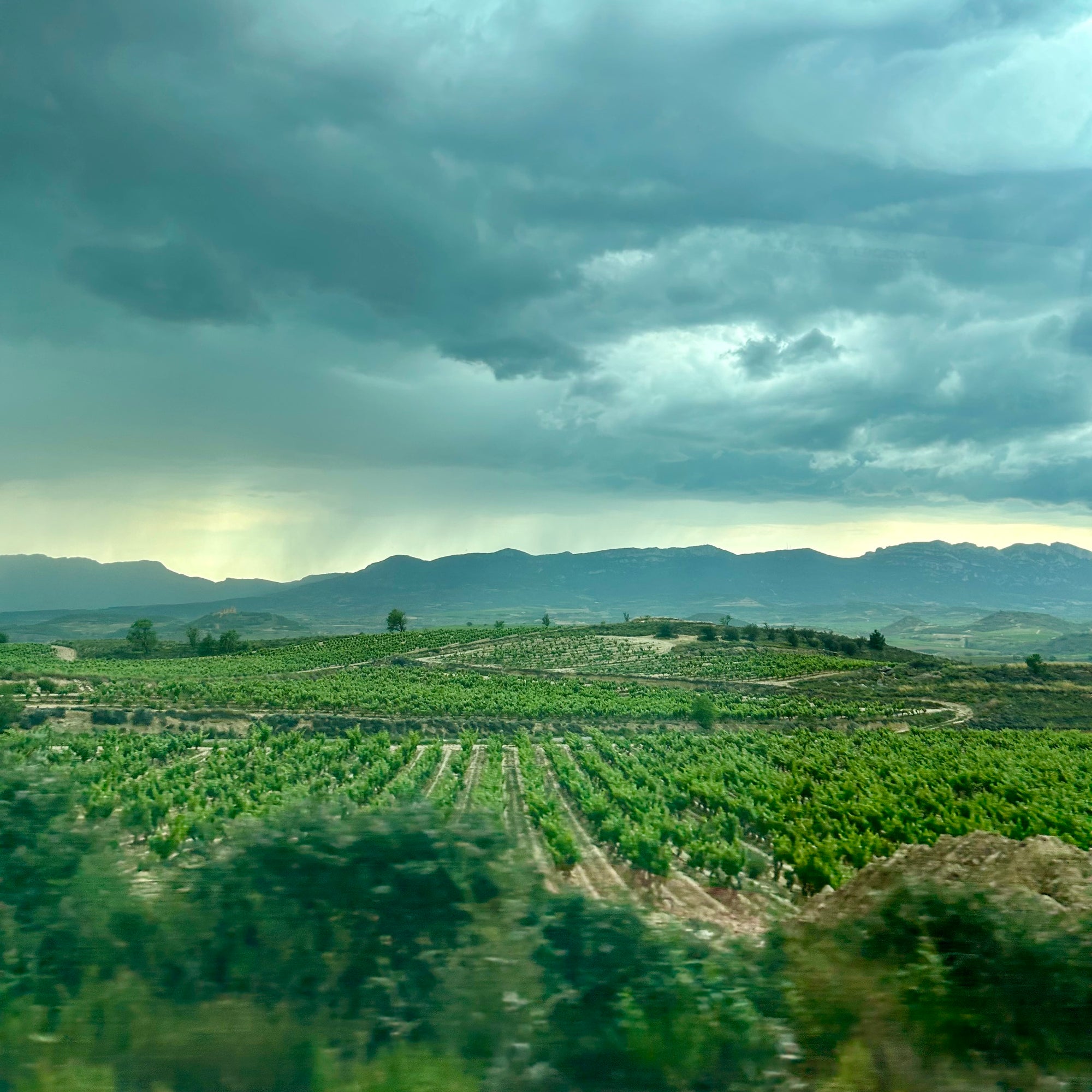 Rioja Trip 2024!