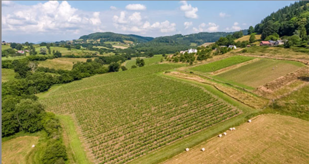 Ancre Hill, the organic and biodynamic Welsh winery.