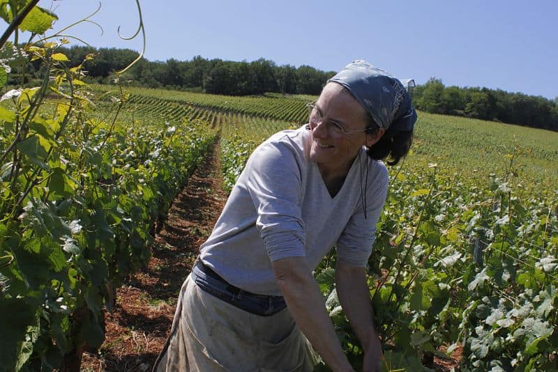 Claire Naudin Domaine Naudin-Ferrand Burgundy winemaker