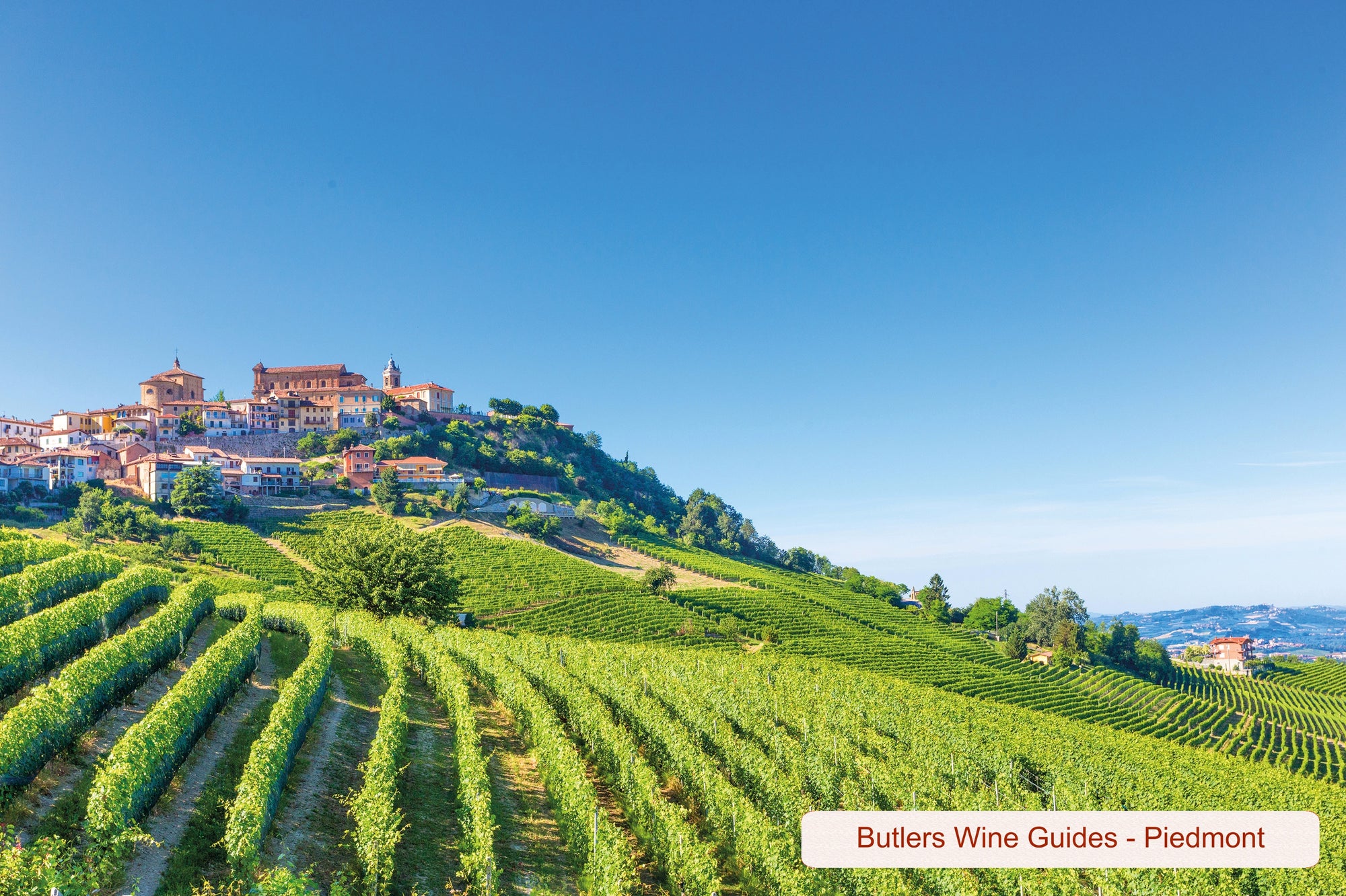 Butlers Wine Guides - Piedmont