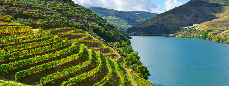 Where to Buy Portuguese Wine in the UK? - HINT: Its Butlers!