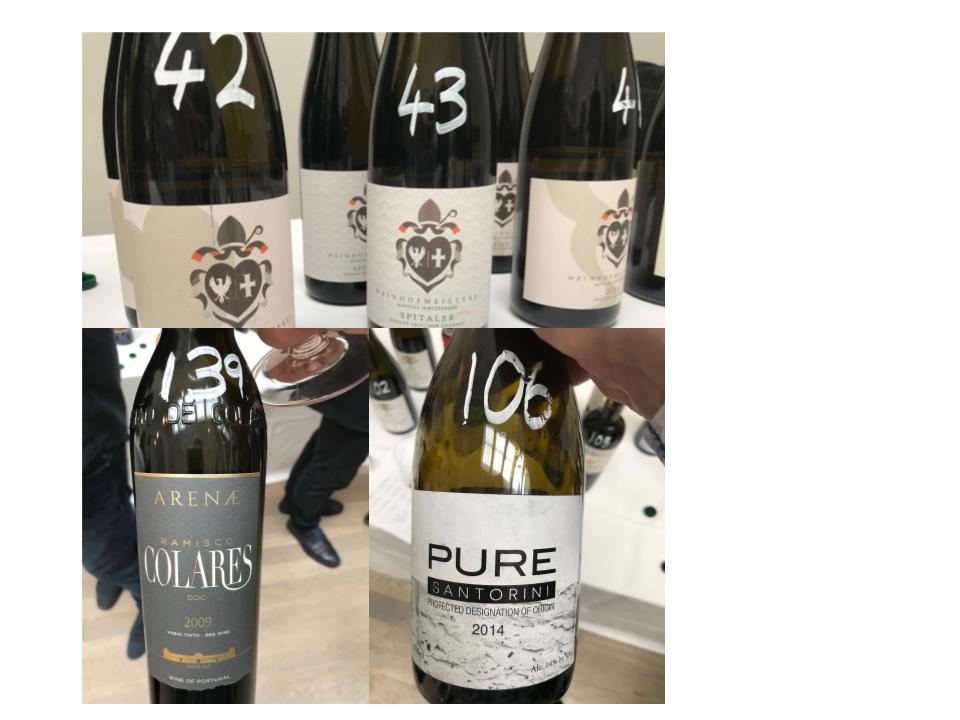 Trade Wine Tasting