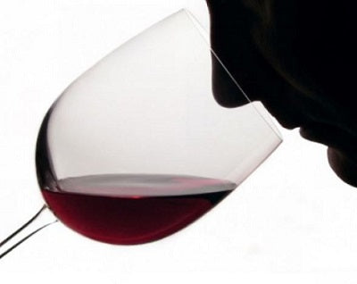Behind the scene of Trade Wine Tasting