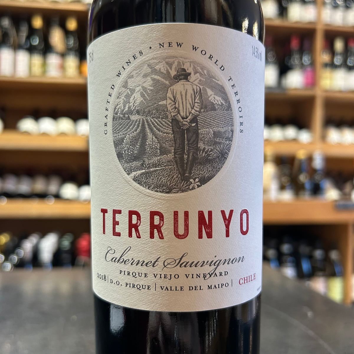 Terrunyo Pirque Viejo Vineyard Cabernet Sauvignon 2018