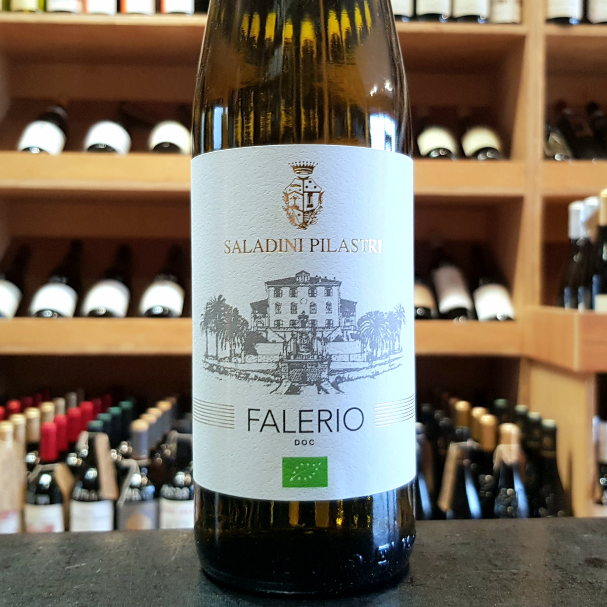 Falerio Saladini Pilastri 2023 - Butler&#39;s Wine Cellar Brighton