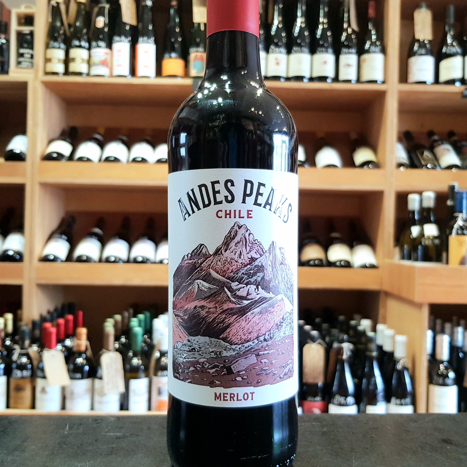 Andes Peaks Merlot Valle Central 2023 - Butler's Wine Cellar Brighton
