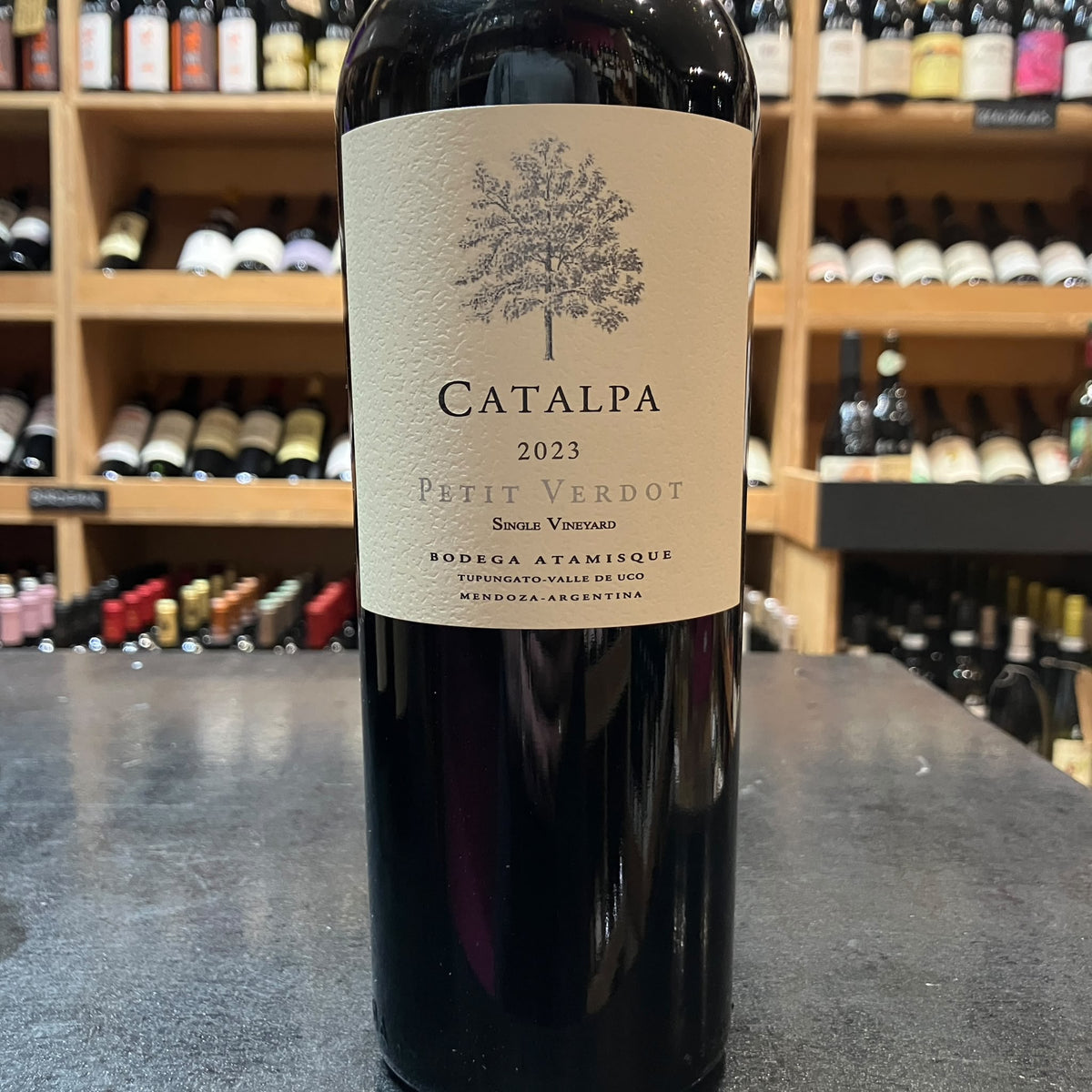 Catalpa Petit Verdot 2023