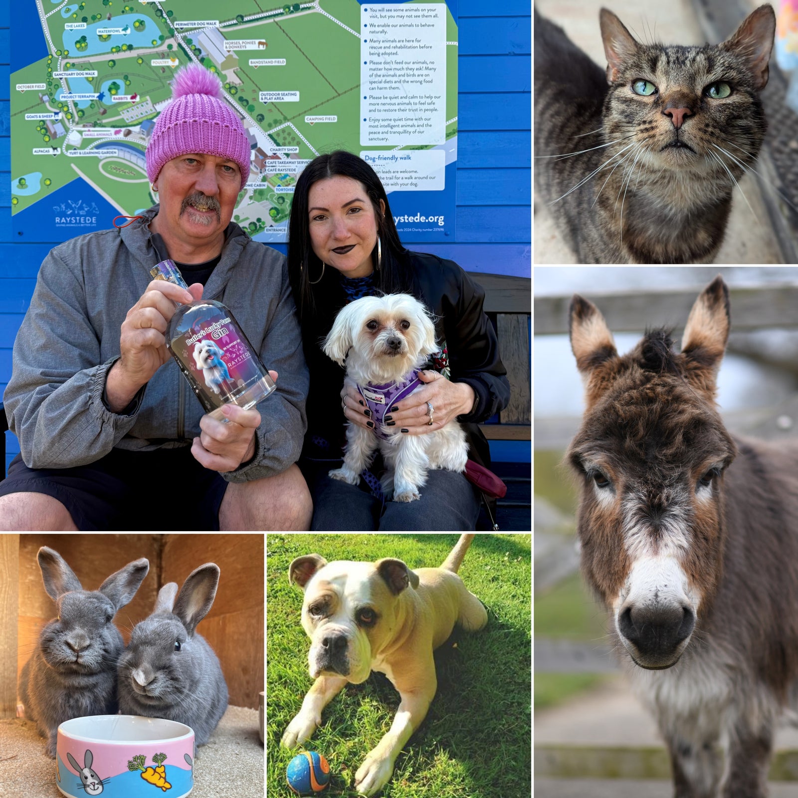 Charity Wine tasting for Raystede Centre for Animal Welfare - Friday 15th May 2026 - Butler's Wine Cellar Brighton