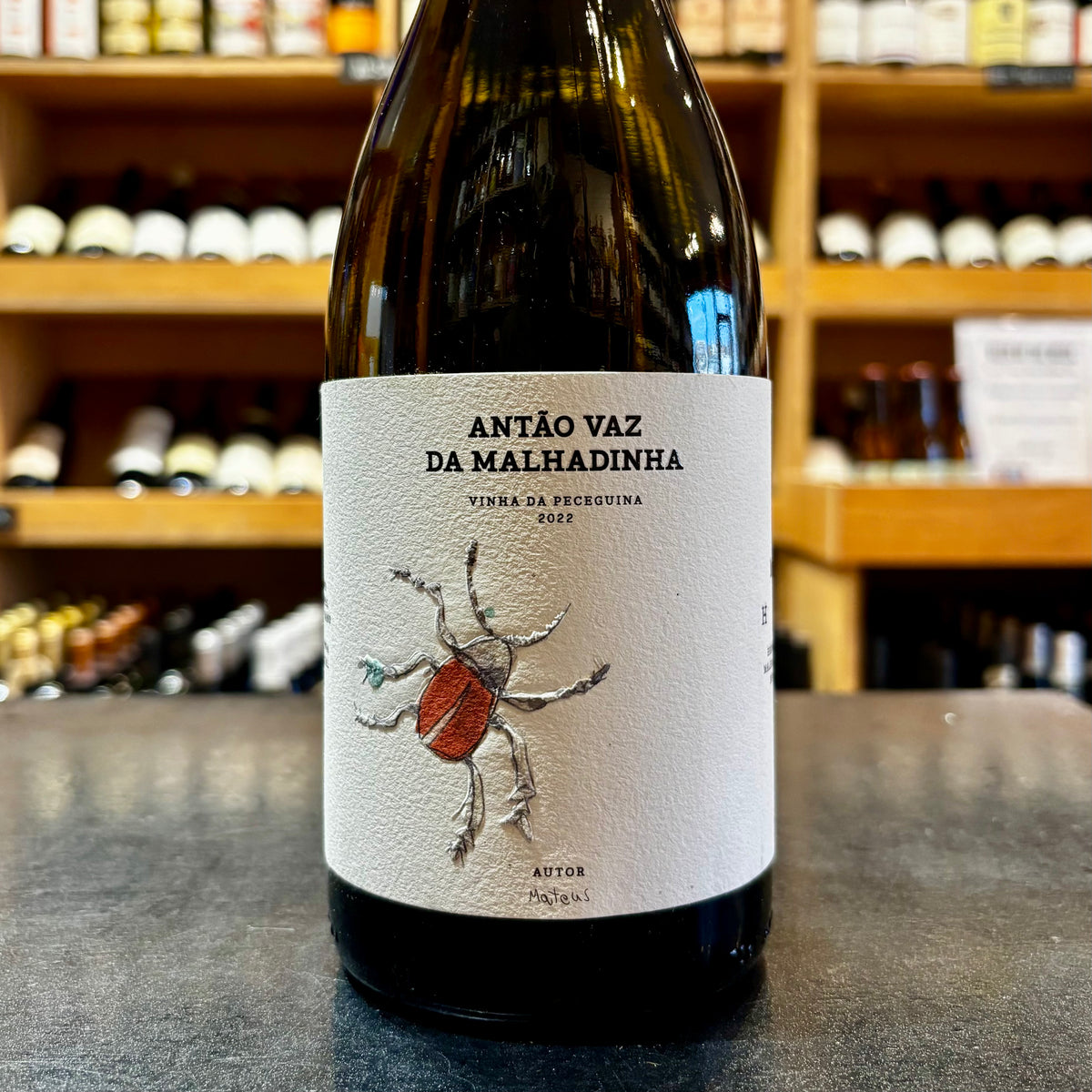 Antao Vaz da Malhadinha 2022