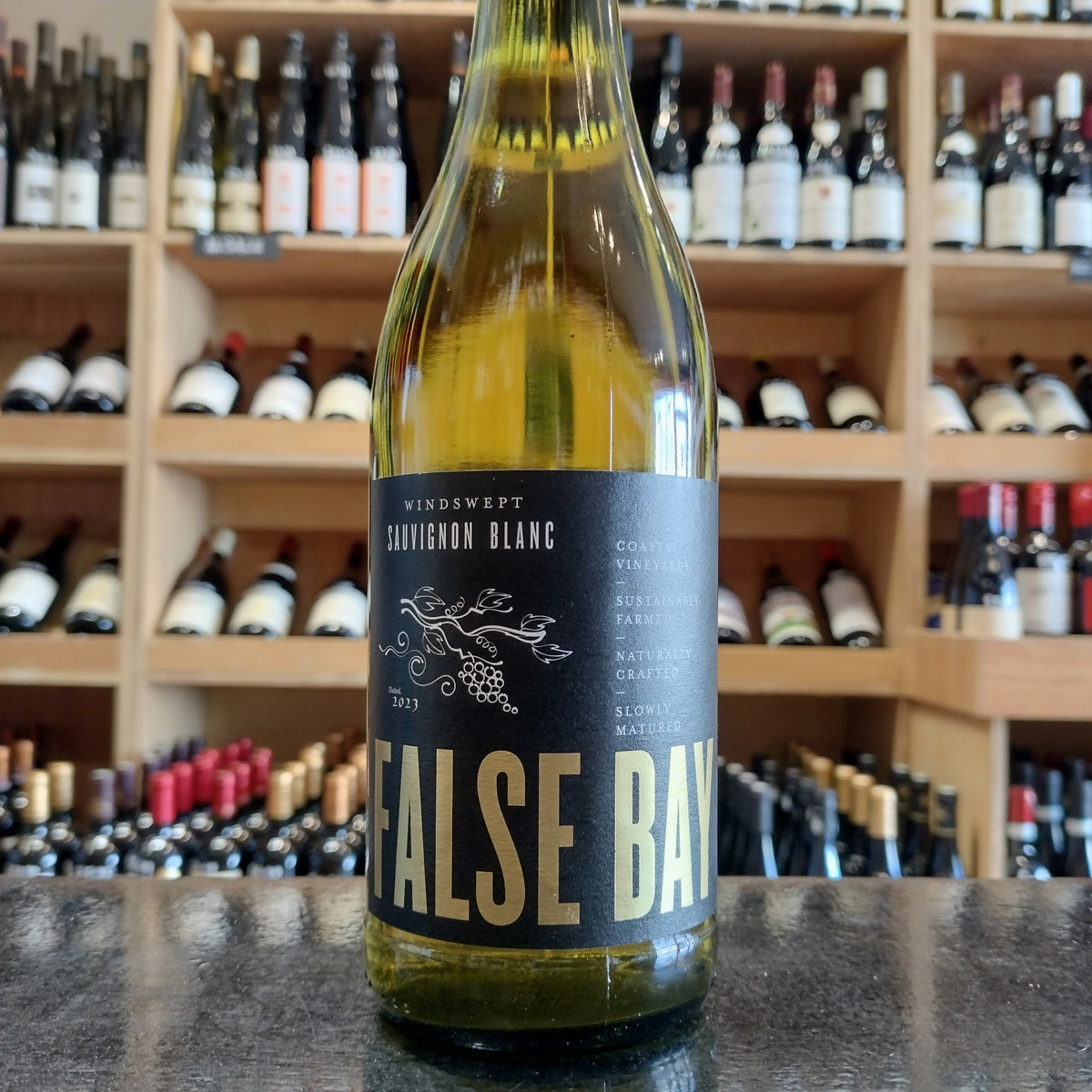 False Bay Windswept Sauvignon Blanc 2023 - Butler&#39;s Wine Cellar Brighton