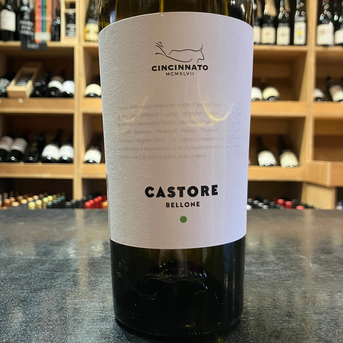 Cincinnato Castore Bellone 2022
