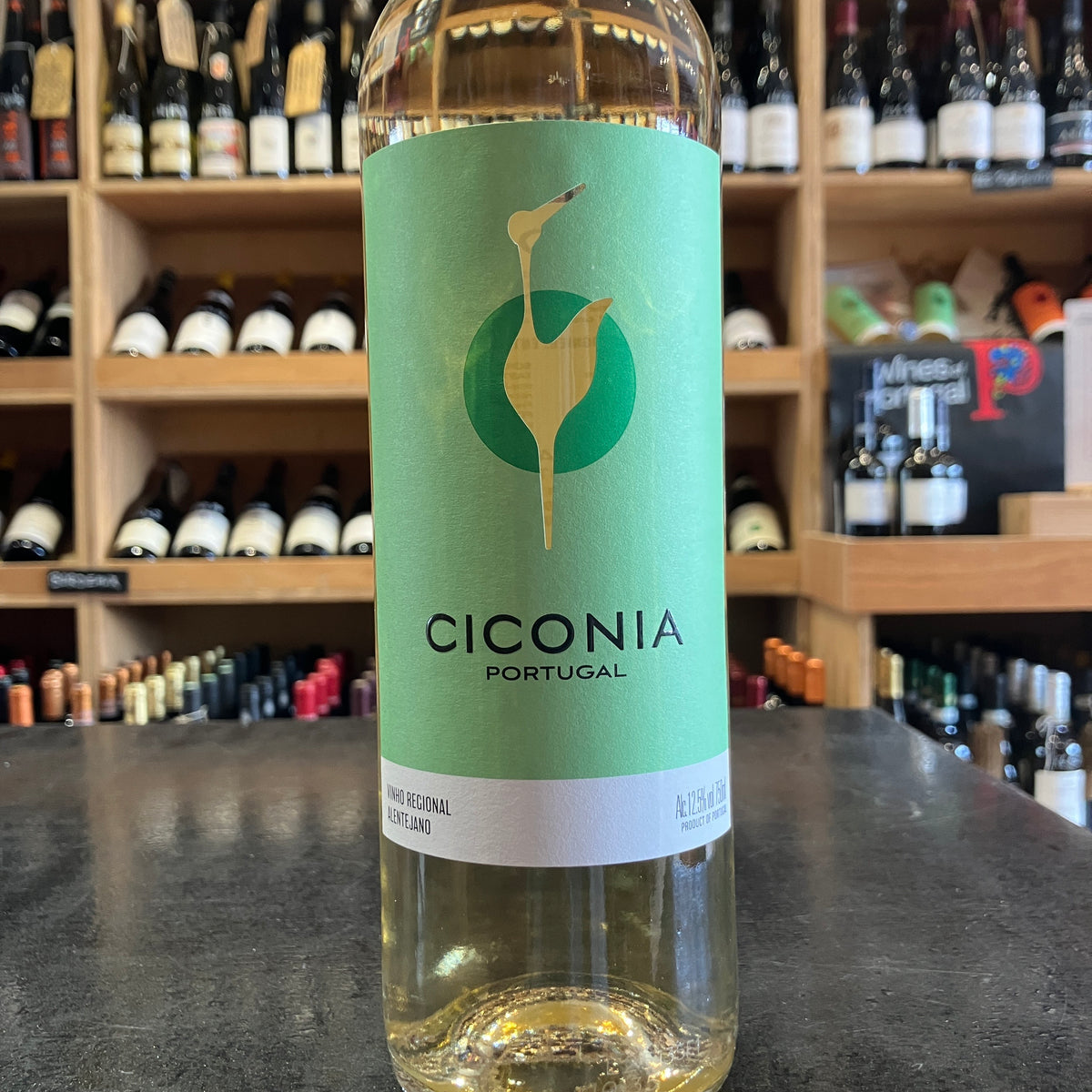 Ciconia Branco 2024