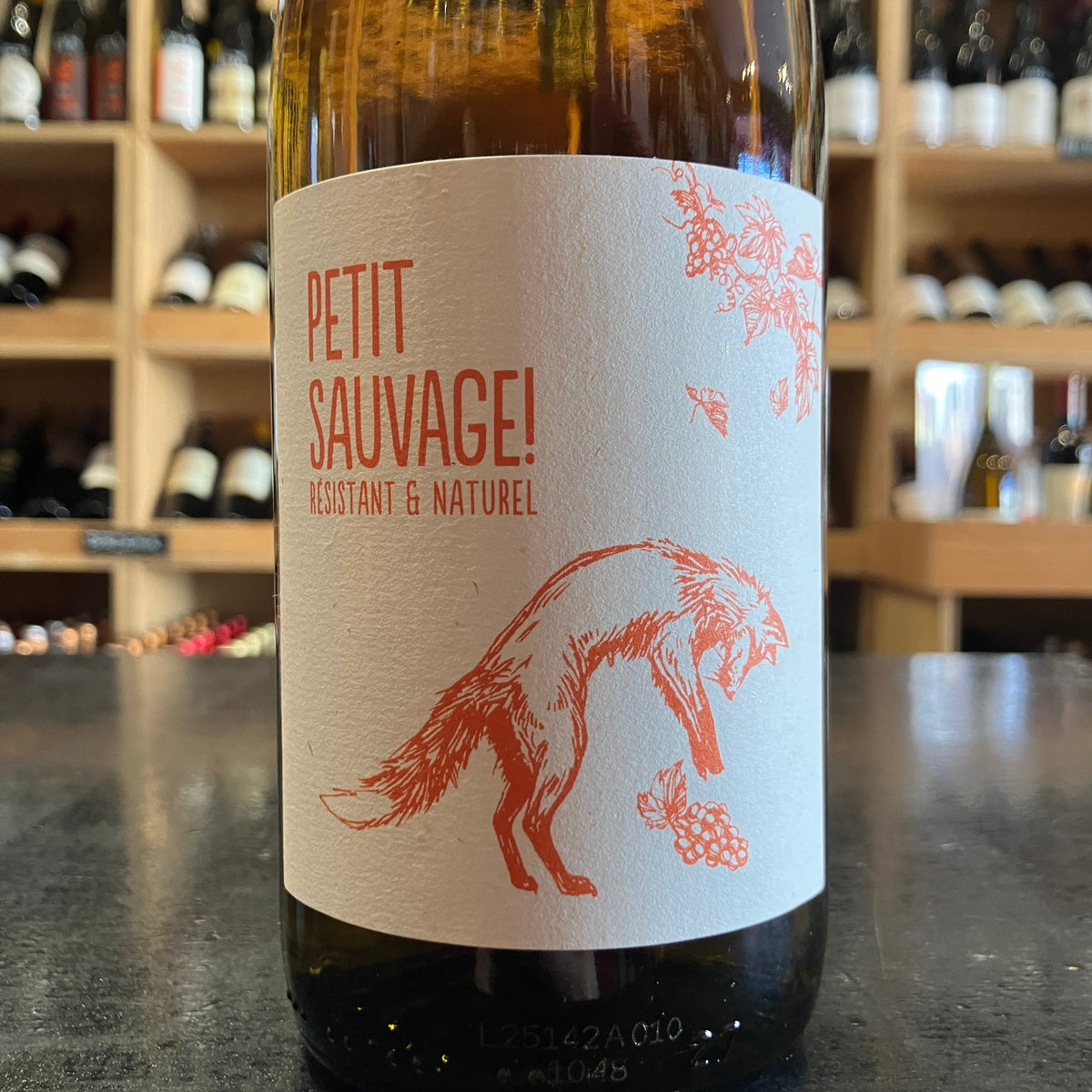 Pierre &amp; Antonin Petit Sauvage Organic Orange Wine 2024 - Butler&#39;s Wine Cellar Brighton