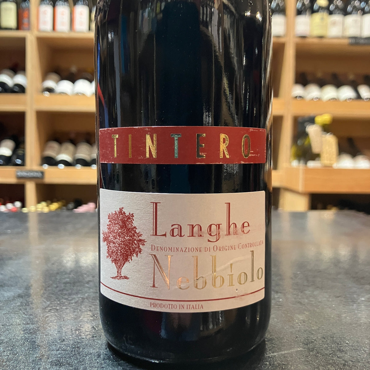 Nebbiolo Elvio Tintero 2022