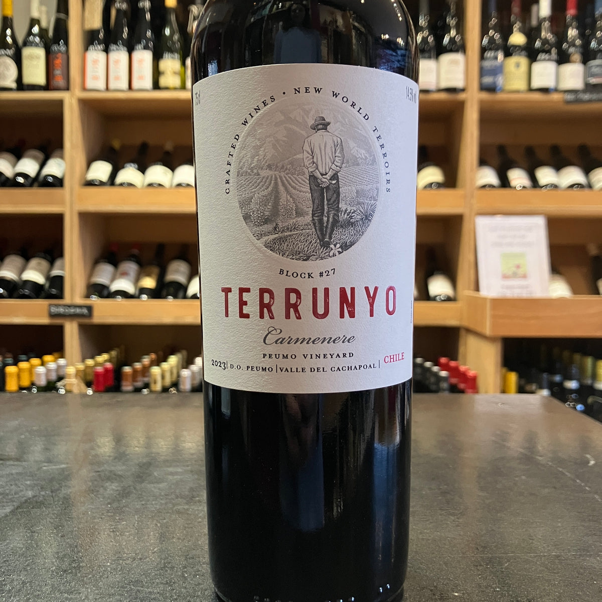 Terrunyo Carmenere Concha Y Toro 2023