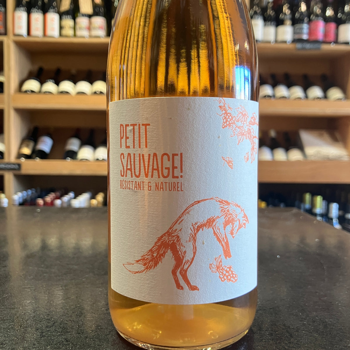 Pierre & Antonin Petit Sauvage Orange Organic 2025 - Butler's Wine Cellar Brighton