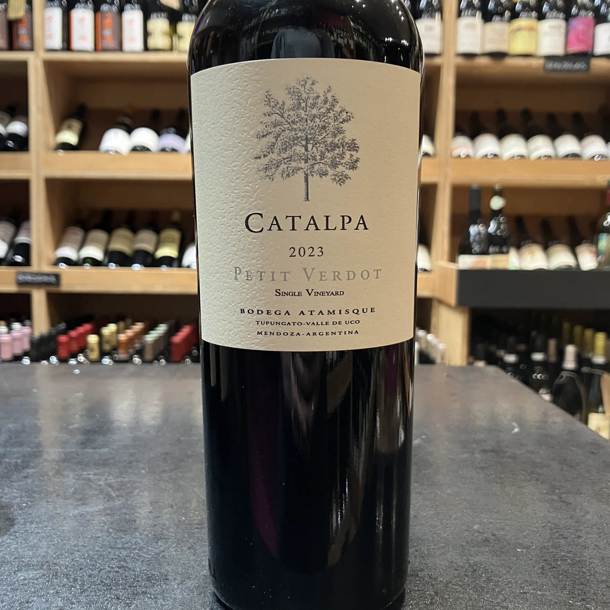 Catalpa Petit Verdot 2023