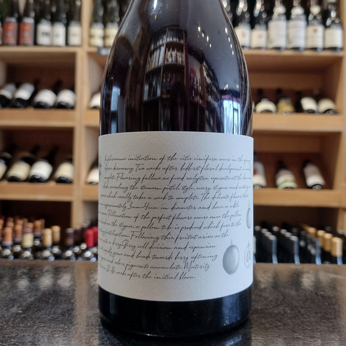 M&amp;J Becker Pinot Noir 2022 - Butler&#39;s Wine Cellar Brighton